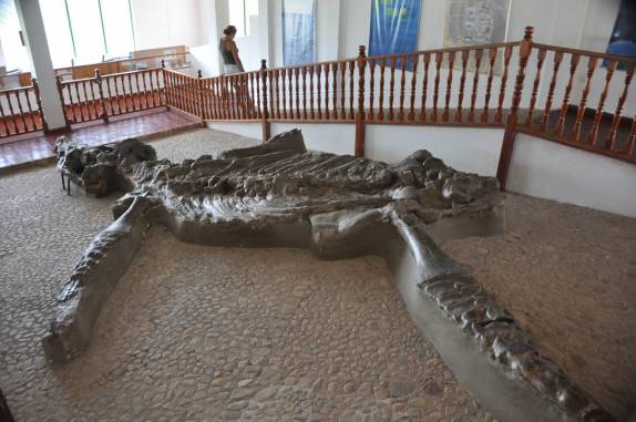 O físsil de um gigantesco réptil marinho (Kronosauro) em Villa de Leyva, na Colômbia